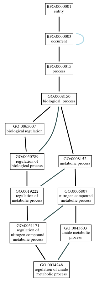 Graph of GO:0034248