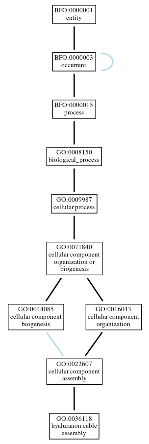 Graph of GO:0036118