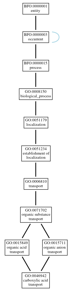 Graph of GO:0046942