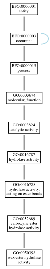 Graph of GO:0050398