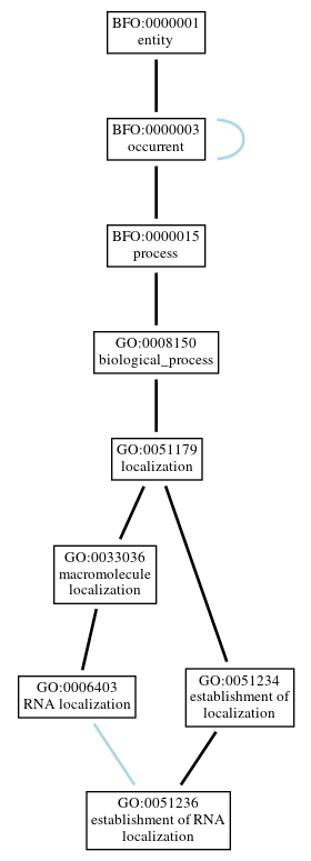 Graph of GO:0051236