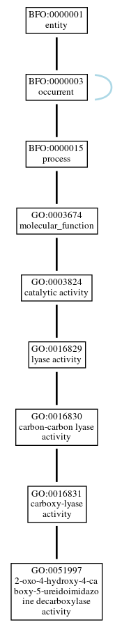 Graph of GO:0051997