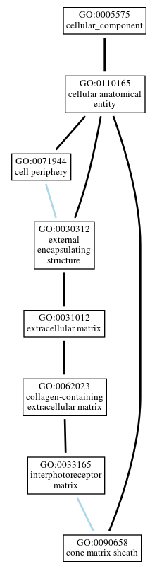 Graph of GO:0090658