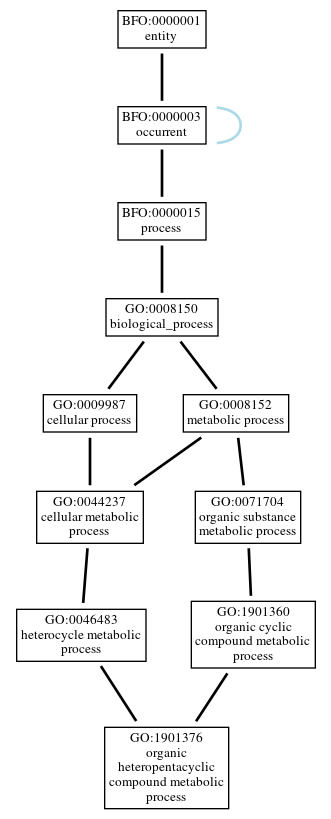 Graph of GO:1901376