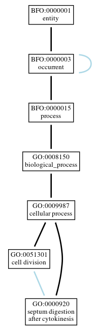 Graph of GO:0000920