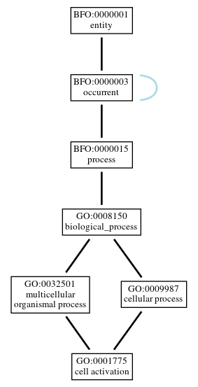 Graph of GO:0001775