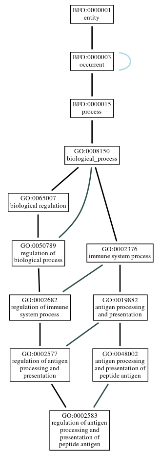 Graph of GO:0002583
