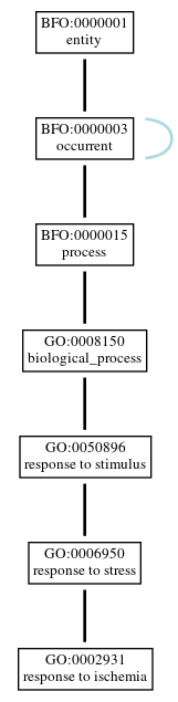 Graph of GO:0002931