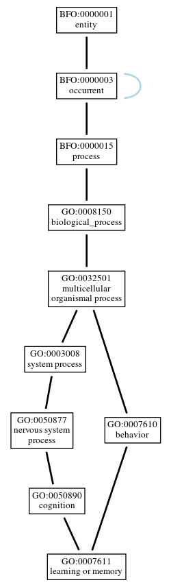 Graph of GO:0007611