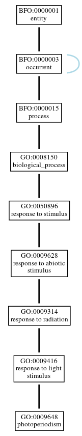 Graph of GO:0009648
