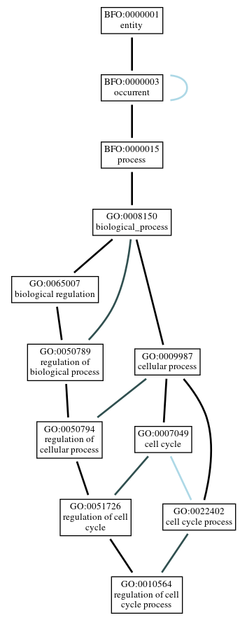 Graph of GO:0010564