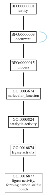 Graph of GO:0016877