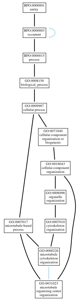 Graph of GO:0031023
