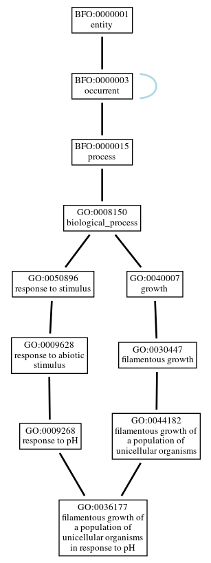 Graph of GO:0036177