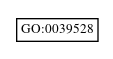 Graph of GO:0039528