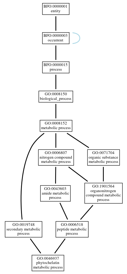 Graph of GO:0046937