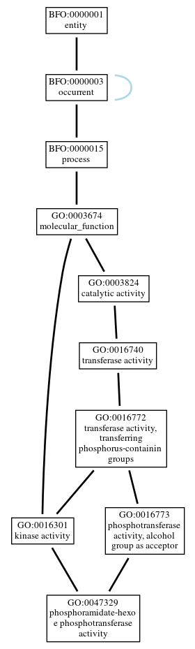 Graph of GO:0047329