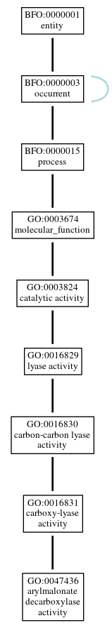 Graph of GO:0047436