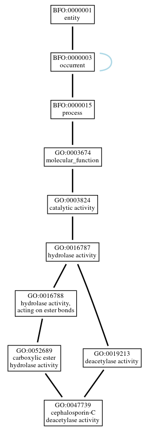Graph of GO:0047739