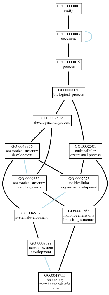 Graph of GO:0048755
