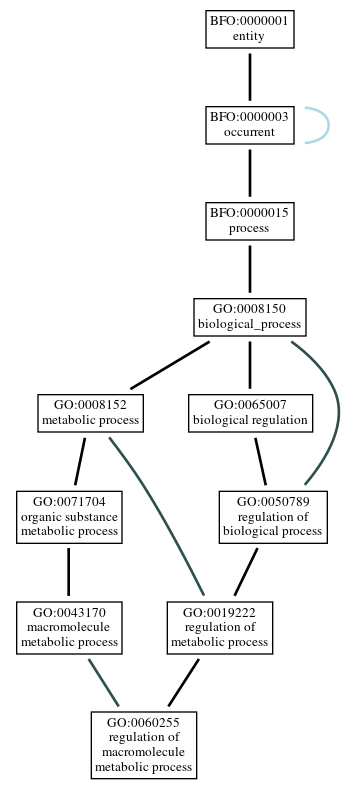 Graph of GO:0060255