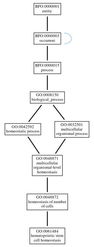 Graph of GO:0061484