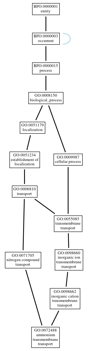 Graph of GO:0072488