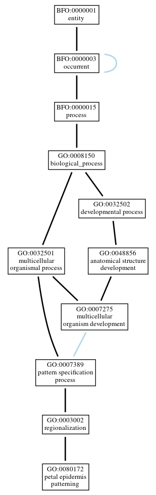 Graph of GO:0080172