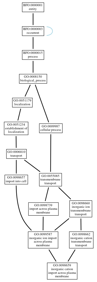 Graph of GO:0098659