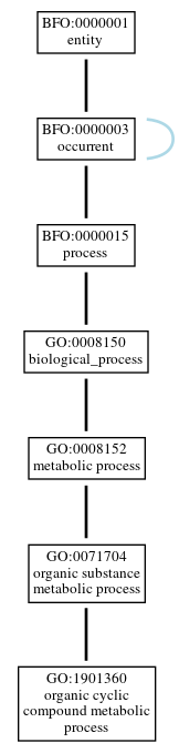 Graph of GO:1901360