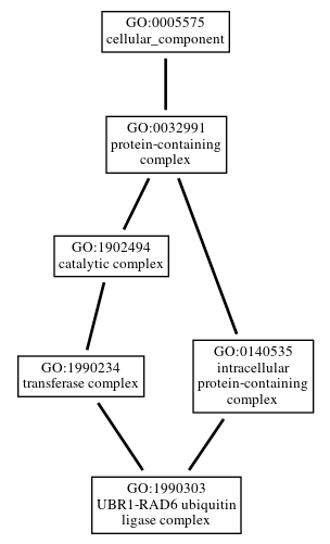 Graph of GO:1990303